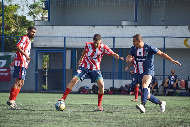 鹿也已经开 鹿也已经开