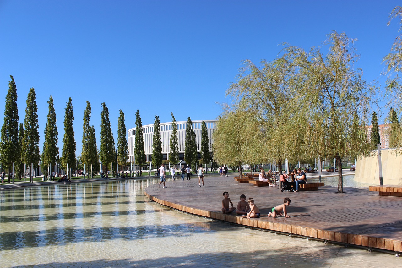 争议的插曲 争议的插曲