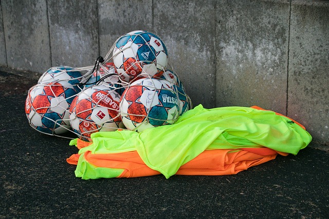 育文化注入 育文化注入