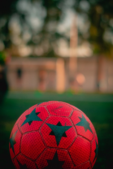 泛的粉丝基 泛的粉丝基