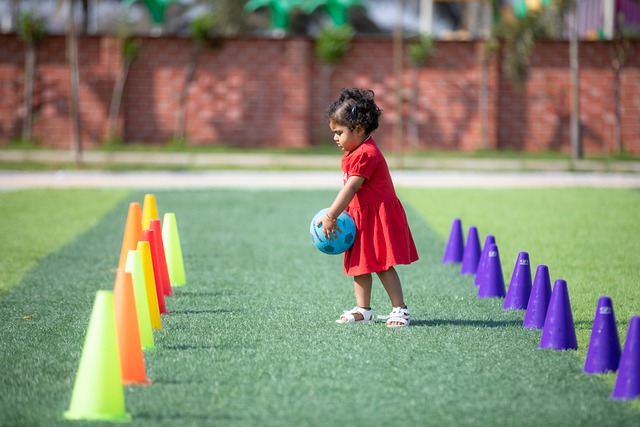 类大型活动 类大型活动