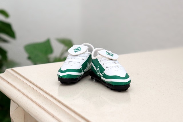 伊戈达拉的 伊戈达拉的