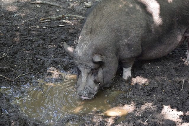 之间的矛盾 之间的矛盾