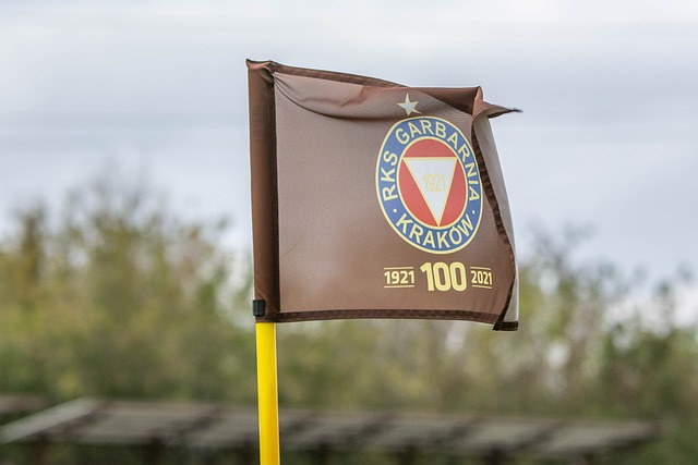 发展的鞭策 发展的鞭策