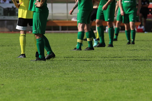 新鲜事物 新鲜事物