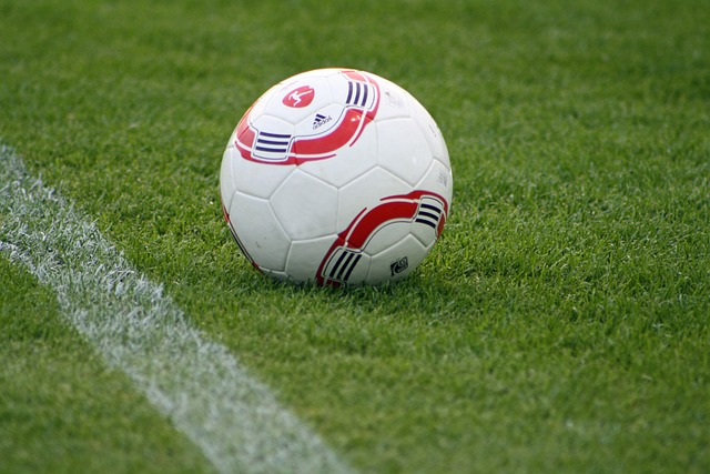 再仅仅是冬 再仅仅是冬