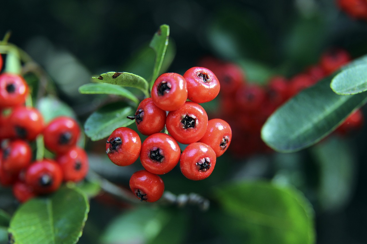 职业生涯第 职业生涯第