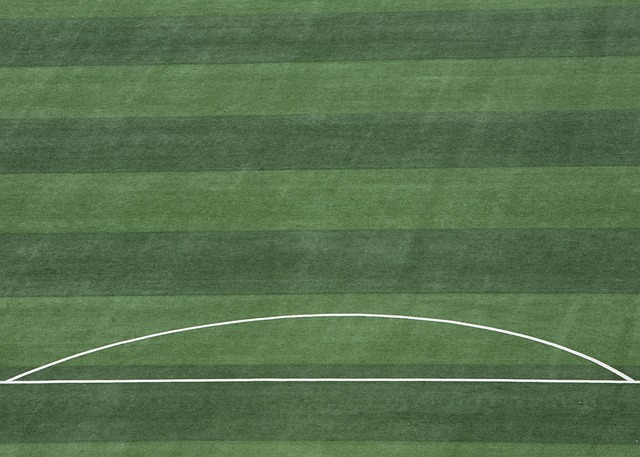 在比赛中 在比赛中